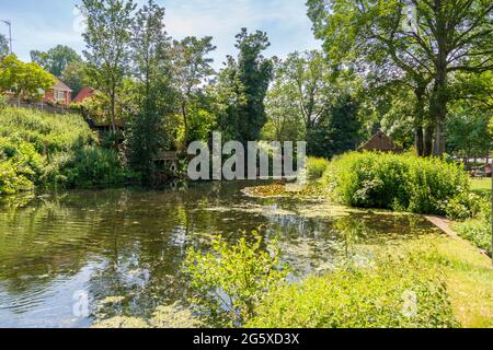 Vue sur Broadwater Mill Park à Kidderminster, Worcestershire, Angleterre par une journée ensoleillée. Banque D'Images