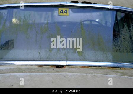 Silbey, Leicestershire, Royaume-Uni. 30 juin 2021. Un autocollant AA dans la lunette arrière d'une Jaguar 3.4 S-Type en décomposition, placée sur une allée. La Jaguar S-Type s Banque D'Images