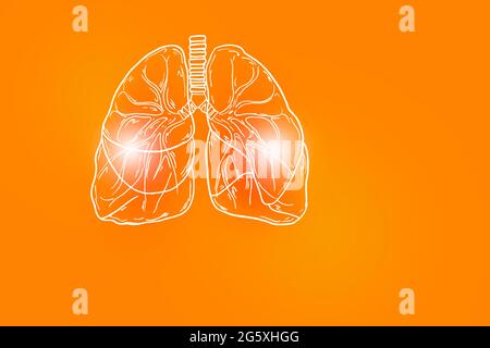 Illustration de Handrawn des poumons humains sur fond orange positif. Médical, science ensemble avec principaux organes humains avec espace de copie vide pour le texte ou l'information Banque D'Images