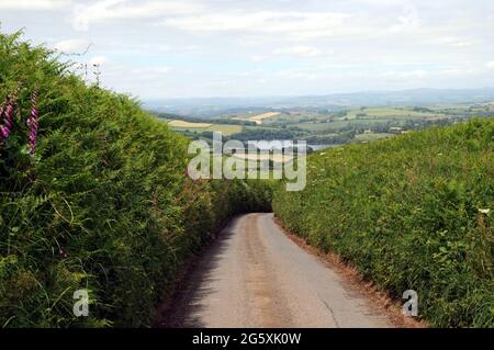 Une ruelle étroite et de haut côté du Devon au-dessus du petit village de Dittisham, au bord de la rivière. L'estuaire de Dart peut être vu à la distance moyenne. Banque D'Images