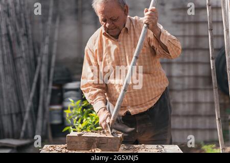 procédé de construction de la structure du verger de tomates. Mise au point sélective. Banque D'Images