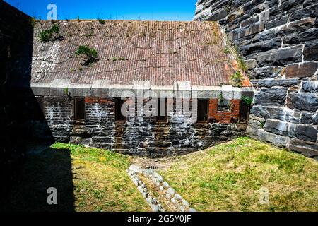 Caponier dans la lande sèche le fort charlotte Banque D'Images