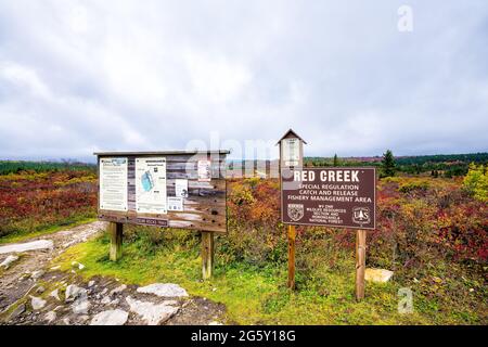 Davis, États-Unis - 5 octobre 2020 : saison d'automne de l'automne et panneau au point de départ pour le sentier Bear Rocks à Dolly Sods Wilderness, dans la Virginie occidentale de Mononga Banque D'Images