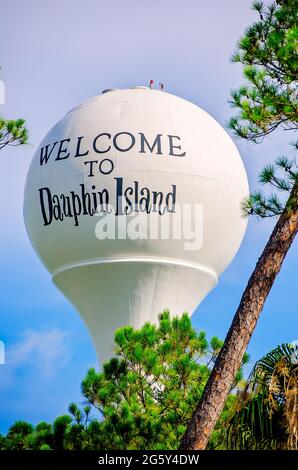 La tour d'eau de Dauphin Island est représentée avec des pins, le 29 juin 2021, à Dauphin Island, en Alabama. Banque D'Images