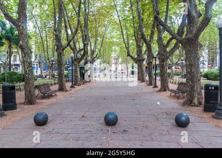 MONTEVIDEO, URUGUAY - 18 FÉVRIER 2015 : vue sur la place Plaza Matriz dans le centre de Montevideo. Banque D'Images