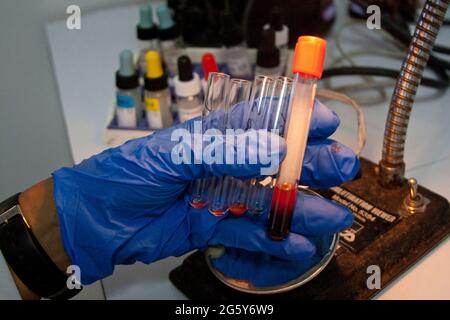 CARACAS, VENEZUELA - JUIN 14 : un agent de santé analyse les échantillons de sang des volontaires dans des tubes à essai lors de la « Journée mondiale du don de sang » à la Banque de sang municipale de Caracas, dans le contexte de la pandémie du coronavirus, le 14 juin 2021 à Caracas, au Venezuela. Crédit : Michael Mata/Eyepix Group/The photo Access Banque D'Images