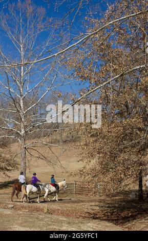 Les cavaliers suivent un sentier dans les Blue Ridge Mountains. Banque D'Images