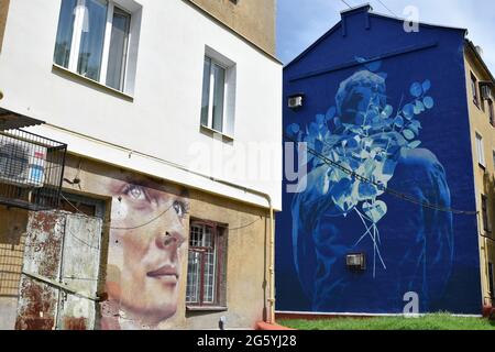 La peinture d'art de rue et l'art mural sont vus sur les bâtiments de la partie centrale du Kramatorsk. La culture de l'art de la rue en Ukraine est audacieuse et rafraîchissante et met en valeur l'esprit puissant de la jeunesse de la nation. Les artistes mêlent harmonieusement influences soviétiques et touches familières comme la culture américaine du hip-hop et l'expressionnisme abstrait, une sorte de fusion avec des traditions artistiques parfois nationales. Les peintres d'art de rue de l'Ukraine moderne voyagent souvent de l'Ouest à l'est de la région du pays pour rendre les rues de la ville plus colorées et curieux. Banque D'Images