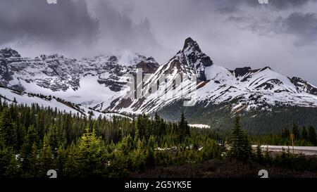 Hilda Peak aux champs de glace Columbia dans le parc national Jasper, Alberta, Canada Banque D'Images