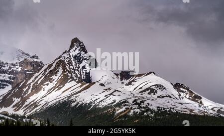 Gros plan de Hilda Peak aux champs de glace Columbia dans le parc national Jasper, Alberta, Canada Banque D'Images