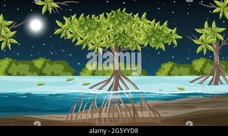 Paysage de la forêt de mangroves scène la nuit avec de nombreuses illustrations d'animaux différents Illustration de Vecteur