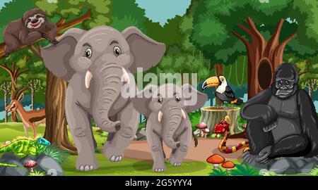 Famille d'éléphants avec d'autres animaux sauvages dans la forêt illustration de scène Illustration de Vecteur
