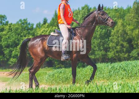 Concurrent fille équitation cheval dans le champ d'été pré.Jeune cavalier gallerps par le jour ensoleillé d'été.Rivalry concept. Banque D'Images