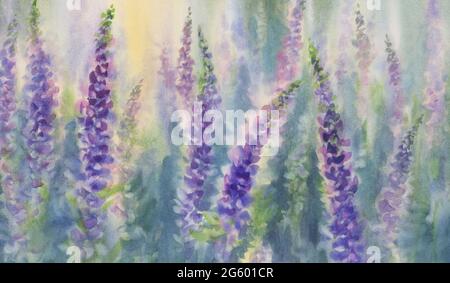 Rose et violet lupin fleurs aquarelle fond Banque D'Images