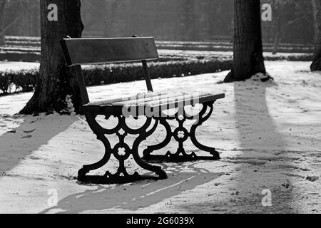 Photographie en noir et blanc d'un banc de parc recouvert de neige dans une zone verte publique Banque D'Images