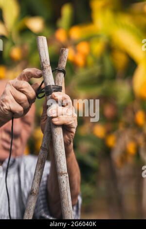 Accent sélectif sur les mains d'un vieil homme qui lie des bâtons dans un verger Banque D'Images