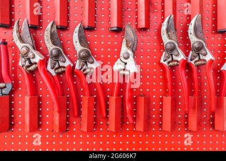 Une rangée de ciseaux de jardin usagés rouges accrochés à une planche de rangement d'outils de jardin Banque D'Images