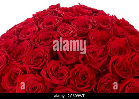 Énorme bouquet de roses rouges isolé sur fond blanc. bouquet de luxe d'une centaine de roses rubis foncé pour le jour de la Saint Valentin. Célébration de l'engagement ou nous Banque D'Images