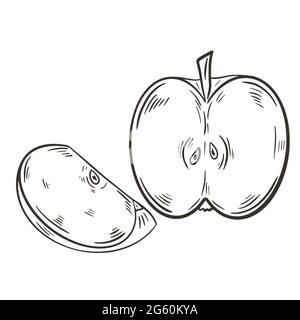 Esquissez une pomme entière et une coupe, illustration vectorielle. Fruits dessinant à la main. Image vintage d'une alimentation naturelle saine et biologique. Illustration de Vecteur