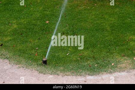 Système d'irrigation du jardin pelouse. Mise au point sélective.système d'irrigation arrosage de l'herbe verte. Arrosage automatique de l'herbe verte. Banque D'Images