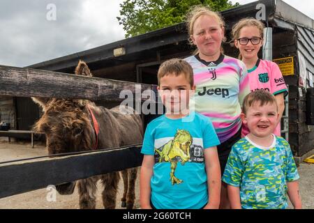 Liscarroll, Co. Cork, Irlande. 1er juillet 2021. Le sanctuaire Donkey de Liscarroll a rouvert aujourd'hui après avoir été fermé au public depuis mars 2020. Le sanctuaire était complet pour les visiteurs qui ont tous apprécié d'être avec les ânes. Zack, Eva, Louise et Jake Healy de Dromahane ont profité de l'après-midi au Donkey Sanctuary. Crédit : AG News/Alay Live News Banque D'Images