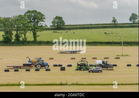 Liscarroll, Co. Cork, Irlande. 1er juillet 2021. Le sanctuaire Donkey de Liscarroll a rouvert aujourd'hui après avoir été fermé au public depuis mars 2020. Le sanctuaire était complet pour les visiteurs qui ont tous apprécié d'être avec les ânes. Le personnel du Sanctuaire était occupé à faire du foin pour la nourriture de l'âne. Crédit : AG News/Alay Live News Banque D'Images