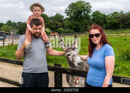 Liscarroll, Co. Cork, Irlande. 1er juillet 2021. Le sanctuaire Donkey de Liscarroll a rouvert aujourd'hui après avoir été fermé au public depuis mars 2020. Le sanctuaire était complet pour les visiteurs qui ont tous apprécié d'être avec les ânes. Luke et Michael McRedmond et Tracy Lehane, tous de Mallow, ont profité de leur temps avec les ânes. Crédit : AG News/Alay Live News Banque D'Images