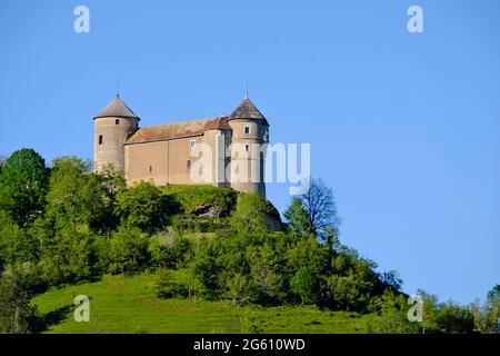 France, Doubs, Belvoir, Château de Belvoir datant du XIIe siècle Banque D'Images