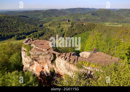 France, Bas Rhin, Parc naturel régional des Vosges du Nord (Parc naturel régional des Vosges du Nord, Wingen, ruines du château de Loewenstein et ruines du château de Fleckenstein datant du XIIe siècle en arrière-plan (vue aérienne) Banque D'Images