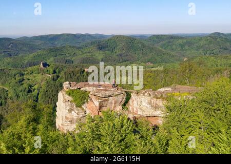 France, Bas Rhin, Parc naturel régional des Vosges du Nord (Parc naturel régional des Vosges du Nord, Wingen, ruines du château de Loewenstein et ruines du château de Fleckenstein datant du XIIe siècle en arrière-plan (vue aérienne) Banque D'Images