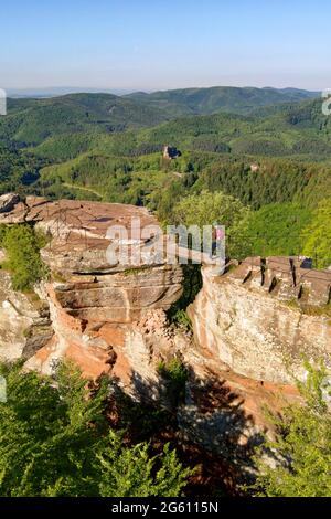 France, Bas Rhin, Parc naturel régional des Vosges du Nord (Parc naturel régional des Vosges du Nord, Wingen, ruines du château de Loewenstein et ruines du château de Fleckenstein datant du XIIe siècle en arrière-plan (vue aérienne) Banque D'Images