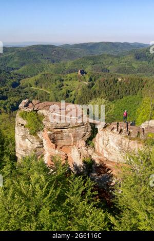 France, Bas Rhin, Parc naturel régional des Vosges du Nord (Parc naturel régional des Vosges du Nord, Wingen, ruines du château de Loewenstein et ruines du château de Fleckenstein datant du XIIe siècle en arrière-plan (vue aérienne) Banque D'Images