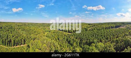 France, Val d'Oise, Forêt de Montmorency (vue aérienne) Banque D'Images