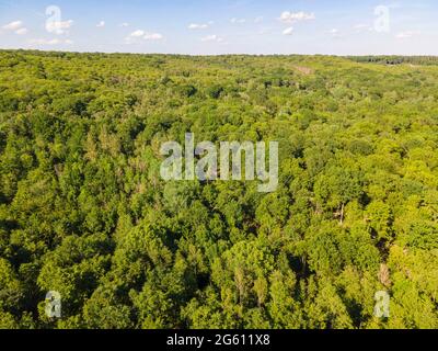 France, Val d'Oise, Forêt de Montmorency (vue aérienne) Banque D'Images