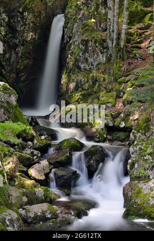 La France, Territoire de Belfort, Lepuix, Ballon d Alsace, Forêt, Saut de la truite cascade, la rivière Savoureuse Banque D'Images