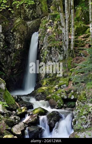 La France, Territoire de Belfort, Lepuix, Ballon d Alsace, Forêt, Saut de la truite cascade, la rivière Savoureuse Banque D'Images