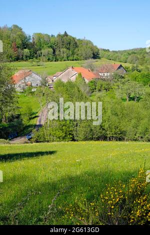 France, haute Saône, Beulotte Saint Laurent, hameau de Breuches, rivière Breuchin, pont Banque D'Images