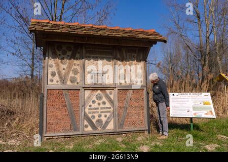 France, Bas Rhin, Beinheim, grand hôtel d'insectes, refuge d'insectes fait de matériaux différents (briques, roseaux, pierres, bois), refuge et terrain de reproduction pour de nombreux animaux, en particulier les insectes hyménoptères, nettoyage volontaire et remise en place des choses cassées ou déplacées par les oiseaux qui viennent manger les larves Banque D'Images