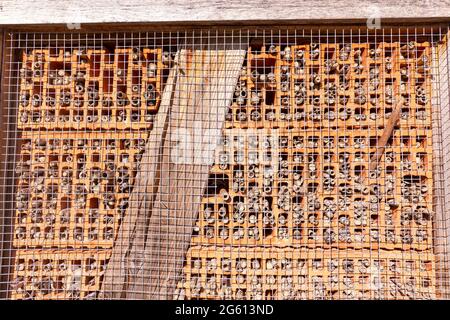 France, Bas Rhin, Beinheim, grand hôtel d'insectes, refuge d'insectes fait de matériaux différents (briques, roseaux, pierres, bois), refuge et terrain de reproduction pour de nombreux animaux, en particulier les insectes hyménoptères Banque D'Images