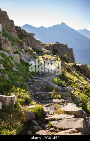 France, Alpes Maritimes (06), massif du Mercantour, haute vallée du Var, Entraunes, col de la Cayolle / France, Alpes maritimes, massif du Mercantour, haute vallée du Var, Entraunes, Laissez-passer Cayolle Banque D'Images