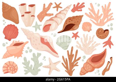 Illustration vectorielle ensemble marin en forme de coquillage mignon. Collection d'objets de coquillages sous-marins de dessin animé de fond d'océan de mer, plage ou aquarium, étoiles de mer corail mollusque coquille conch spirale escargot isolé sur blanc Illustration de Vecteur