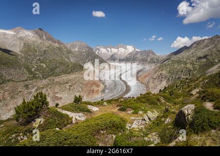 Vue sur le glacier d'Aletsch depuis le sentier de randonnée du Valais Banque D'Images