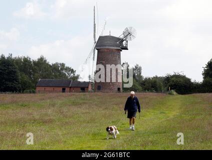 Swannington, Leicestershire, Royaume-Uni. 1er juillet 2021. Un homme marche son chien après Hough Mill. Swannington est un ancien village minier situé entre Coalville Banque D'Images