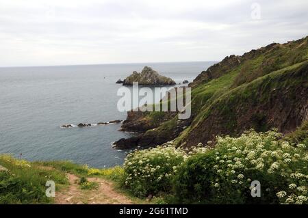 Vue sur la Manche et la Mew Stone depuis le South West Coastal Path près de Kingjure, South Devon. Banque D'Images