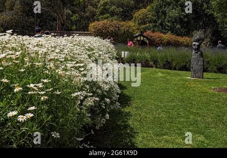 Skyhigh Mt Dandenong. 26 Observatory Rd, Mount Dandenong VIC 3767. Australie. 3 janvier 2014. Un parc de loisirs avec sculptures, fleurs, sentiers et b Banque D'Images