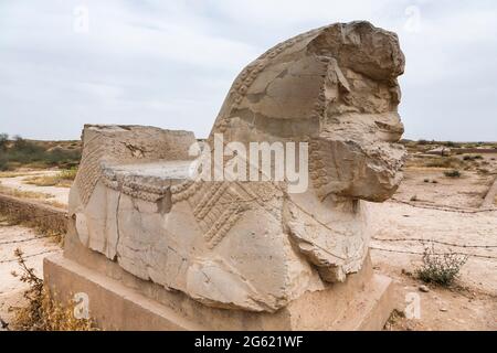 Capitale de la taureau à double tête, ruines, site archéologique de Susa (Shush), empire achéménide, Shush, province de Khuzestan, Iran, Perse, Asie occidentale, Asie Banque D'Images