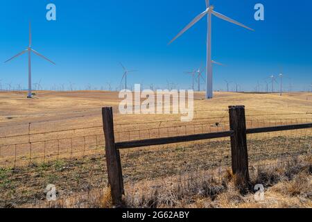 La centrale éolienne de Shiloh est un parc éolien situé dans les collines de Montezuma dans le comté de Solano, en Californie, aux États-Unis, près de Bird's Landing et Collinsville. Banque D'Images