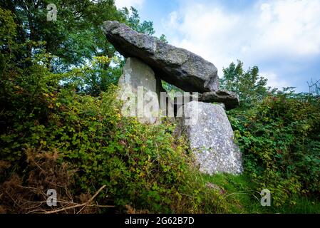 Le dolmen de Kilmogue est perdu dans l'égatation malgré qu'il soit le plus haut dolmen d'Irlande Banque D'Images