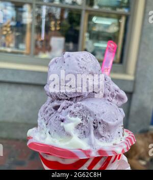 Yogourt glacé aux baies et à la vanille. Banque D'Images