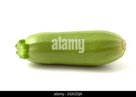 Petite courgette verte fraîche sur fond blanc Banque D'Images